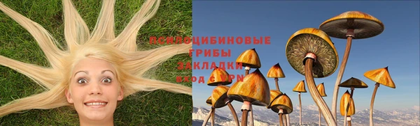 mdpv Балахна