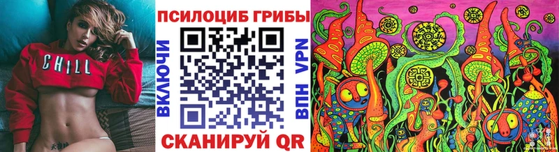 наркошоп  Чудово  Галлюциногенные грибы Magic Shrooms 