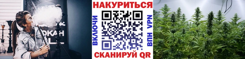 наркотики  Чудово  Канабис план 